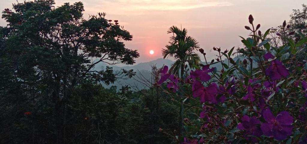 Devikolam Munnar Tent Hills Resort מראה חיצוני תמונה