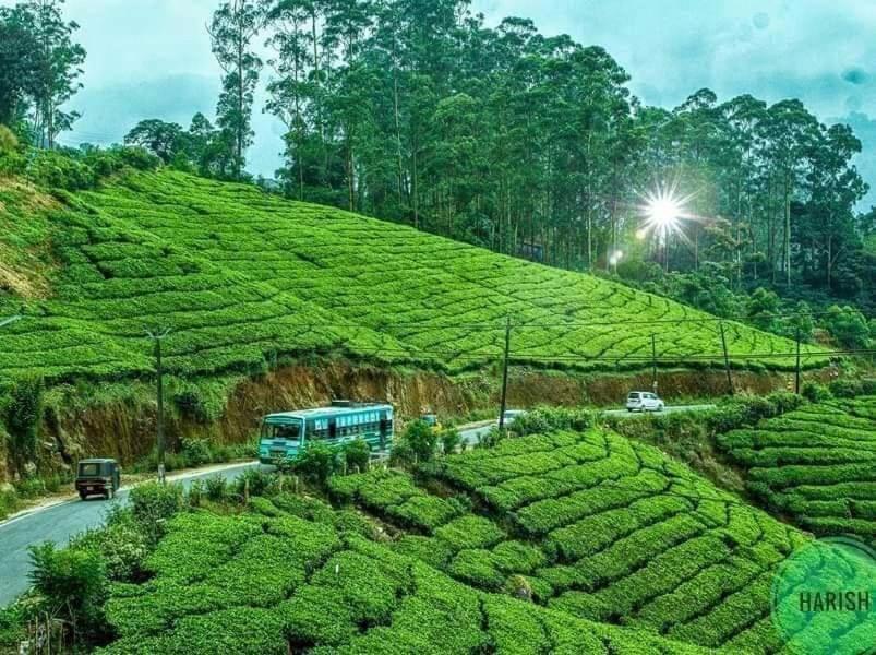 Devikolam Munnar Tent Hills Resort מראה חיצוני תמונה