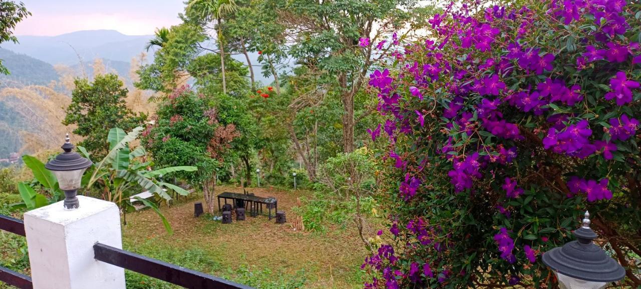 Devikolam Munnar Tent Hills Resort מראה חיצוני תמונה