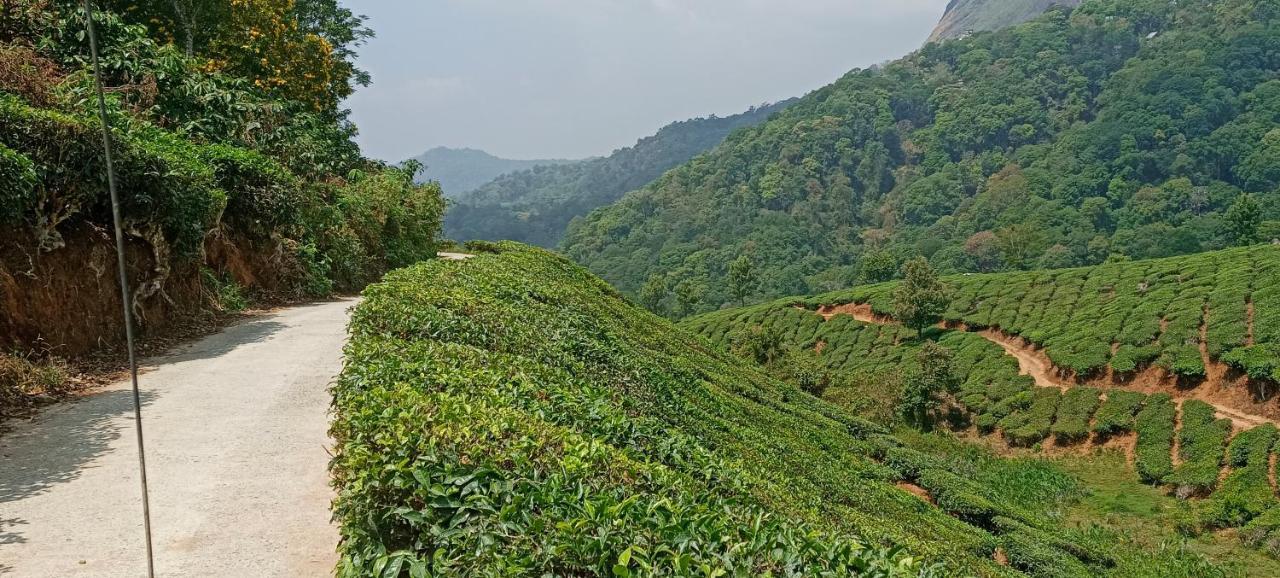 Devikolam Munnar Tent Hills Resort מראה חיצוני תמונה