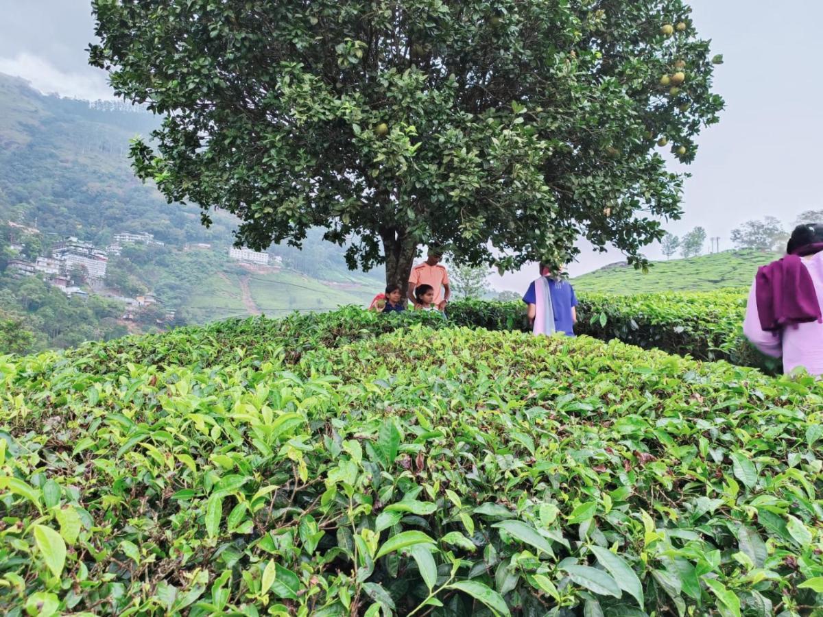 Devikolam Munnar Tent Hills Resort מראה חיצוני תמונה